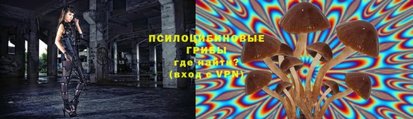 герыч Липки